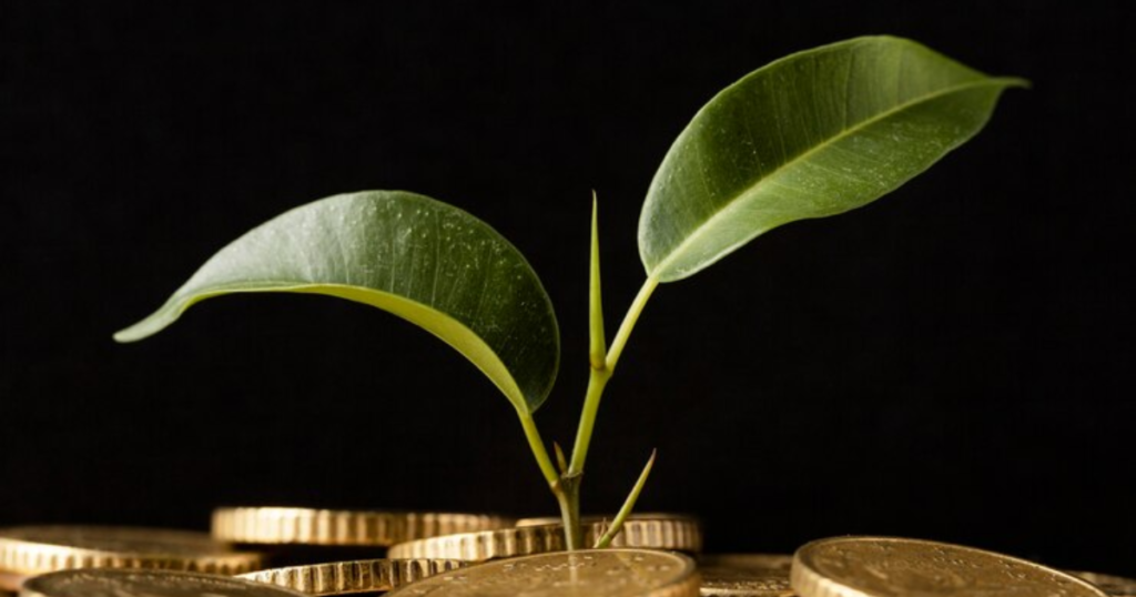 Multi asset mutual funds