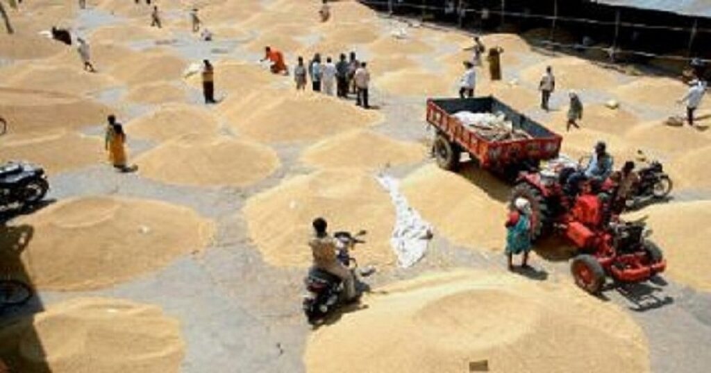 एफसीआई की गेहूं बिक्री 85 लाख टन के रिकॉर्ड स्‍तर पर