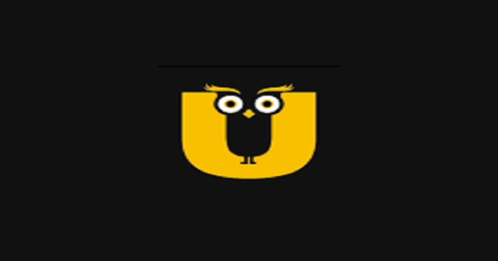 अब तक का सबसे बड़ा एसएमई आईपीओ आएगा उल्लू डिजिटल का