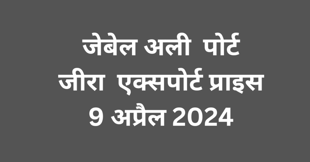 Jebel Ali Port