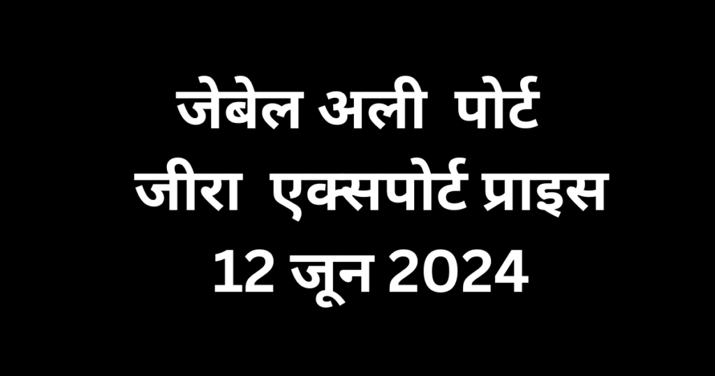 Jebel Ali Port