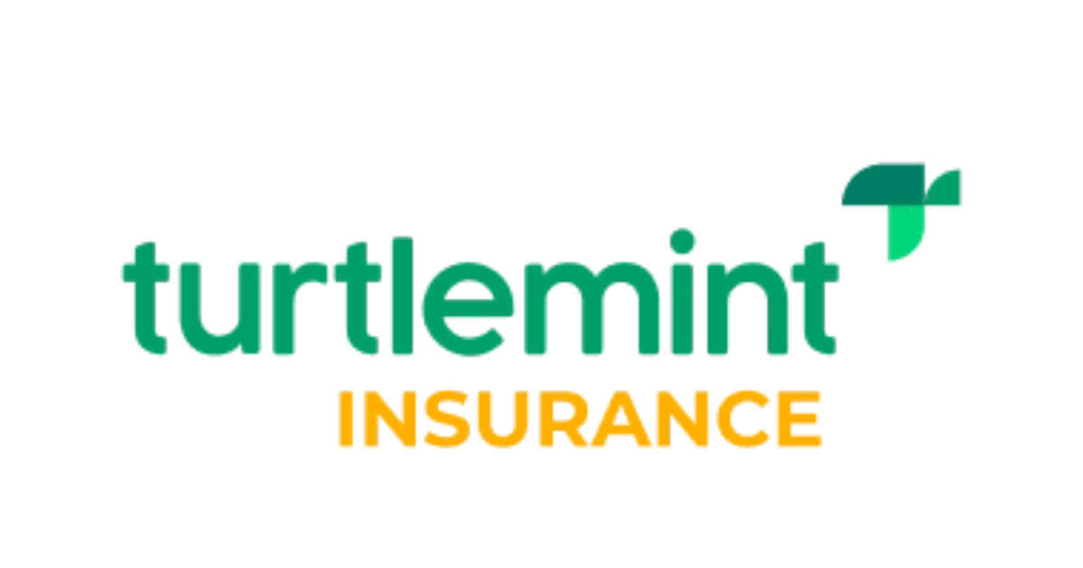 Turtlemint Fintech IPO: ₹883 करोड़ का इश्यू खुला, जानें प्राइस बैंड, लॉट साइज और पूरी डिटेल